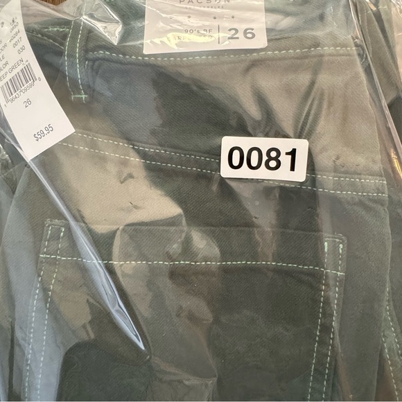 PacSun Ocean Green '90s Boyfriend Carpenter Pants - Picture 12 of 12